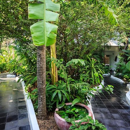 Samsara Villa بنوم بنه المظهر الخارجي الصورة